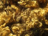 Carded Fleece (Primary Colours) - Felsted Fleece