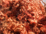 Carded Fleece (Secondary Colours) - Felsted Fleece