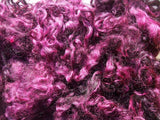 Carded Fleece (Tertiary Colours) - Felsted Fleece