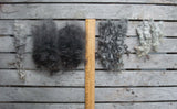 Natural washed Gotland Locks - Felsted Fleece