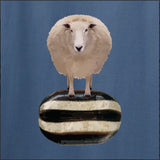 Carded Fleece (Blends & Humbugs) - Felsted Fleece